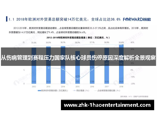 从伤病管理到赛程压力国家队核心球员伤停原因深度解析全景观察